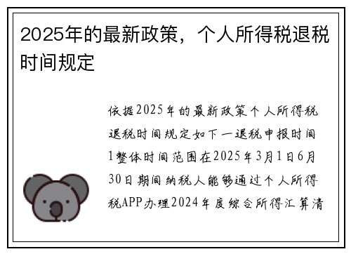 2025年的最新政策，个人所得税退税时间规定