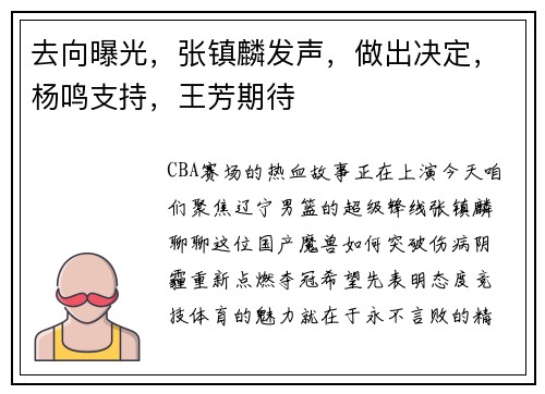 去向曝光，张镇麟发声，做出决定，杨鸣支持，王芳期待
