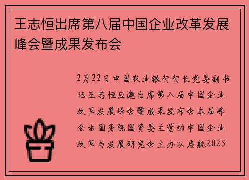 王志恒出席第八届中国企业改革发展峰会暨成果发布会