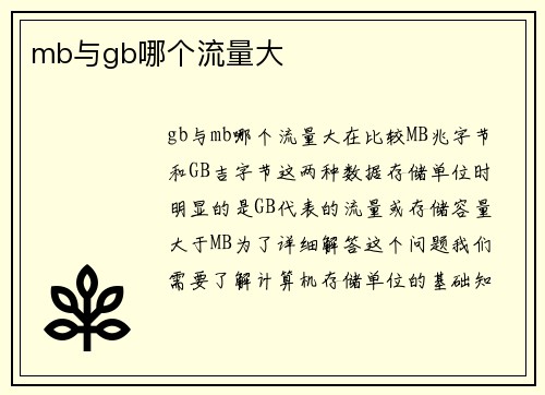 mb与gb哪个流量大