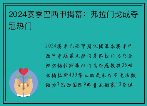 2024赛季巴西甲揭幕：弗拉门戈成夺冠热门
