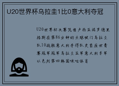 U20世界杯乌拉圭1比0意大利夺冠